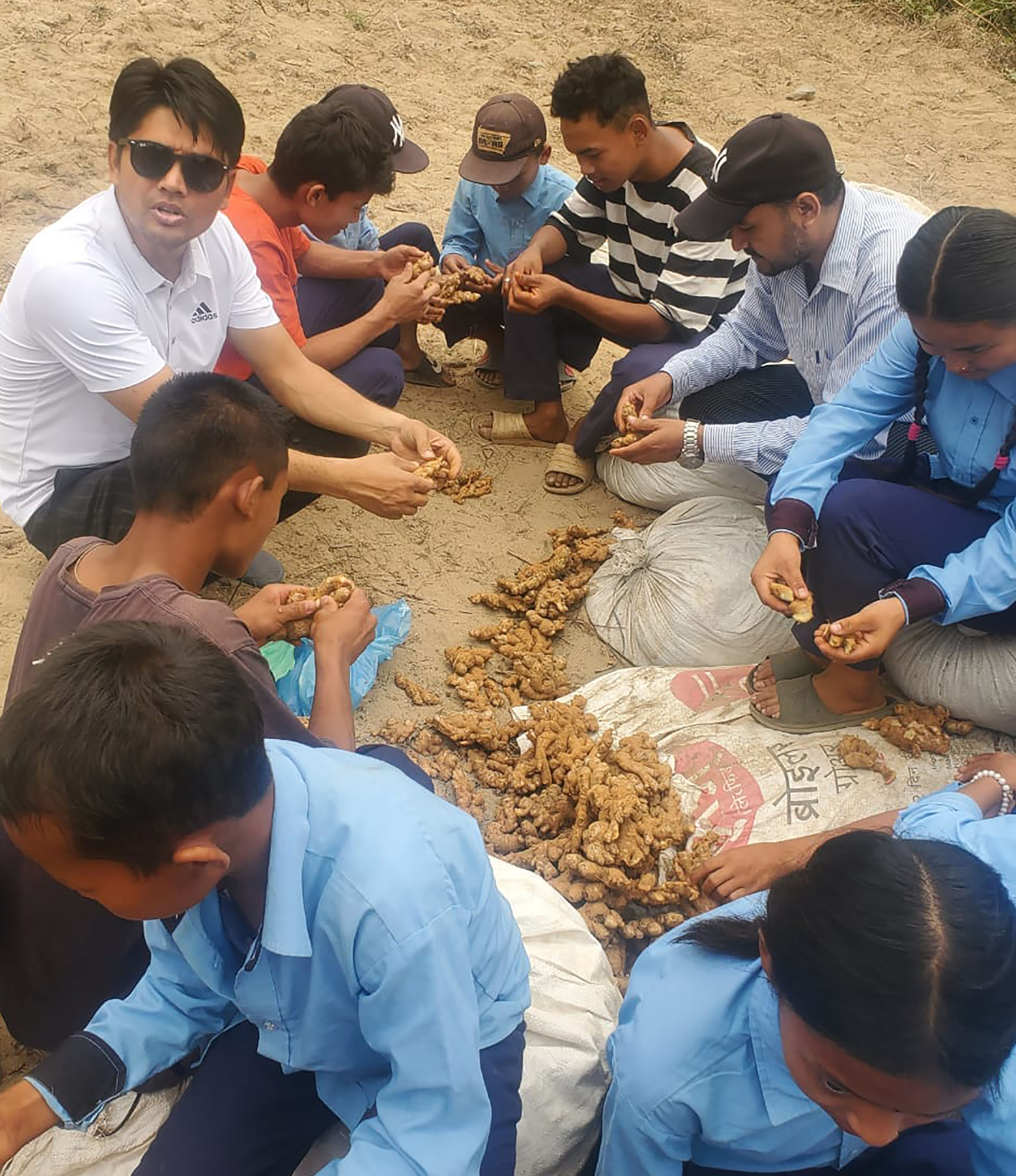 पढ्दै कमाउँदै कार्यक्रमः अदुवा खेतीमा तनहुँका विद्यार्थी